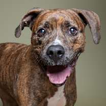 Thumbnail photo of Sasha #1