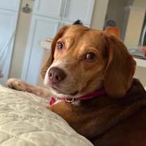 Thumbnail photo of Gucci #1