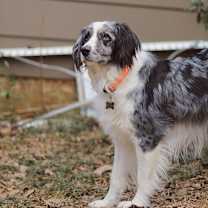 Thumbnail photo of River FL #2