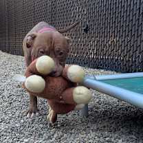 Thumbnail photo of Boy Boy #2