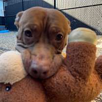 Thumbnail photo of Boy Boy #3