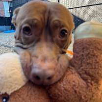 Thumbnail photo of Boy Boy #4