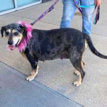 Thumbnail photo of Sissy  (mm) #2