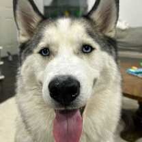 Thumbnail photo of Junior #1