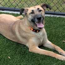 Thumbnail photo of Gloria #1