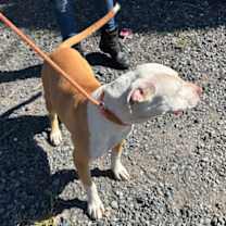 Thumbnail photo of Juliette #2