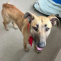 Thumbnail photo of Gloria #3