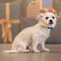 Thumbnail photo of Jack White #1