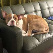 Thumbnail photo of Isa (ee-suh) #1