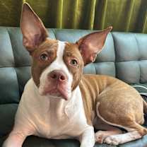 Thumbnail photo of Isa (ee-suh) #2