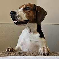 Thumbnail photo of Sister #1