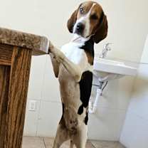 Thumbnail photo of Sister #3