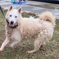 Thumbnail photo of EMERALD #1