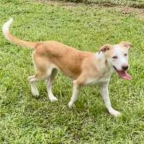 Thumbnail photo of Grumbelina #1