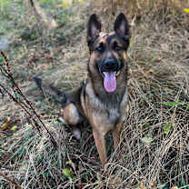 Thumbnail photo of Ranger🏔️ #1