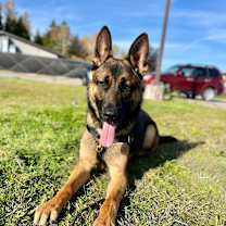 Thumbnail photo of Ranger🏔️ #3