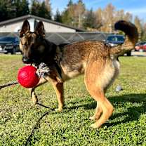 Thumbnail photo of Ranger🏔️ #4