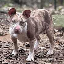 Thumbnail photo of Cloudy Lasagne #4