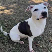 Thumbnail photo of ELLIOTT PAGE #2