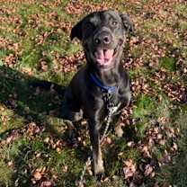 Thumbnail photo of Kenji #2