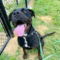 Thumbnail photo of Ariah #3