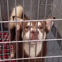 Thumbnail photo of Eko #2