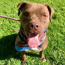 Thumbnail photo of SMILEY #4