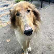 Thumbnail photo of Charlie #2