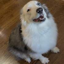 Thumbnail photo of Daisy #2