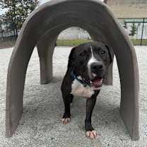 Thumbnail photo of Drop #1