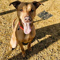 Thumbnail photo of Jake #4