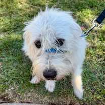 Thumbnail photo of Miss Lola #3