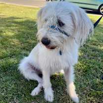 Thumbnail photo of Miss Lola #4