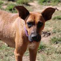 Thumbnail photo of Julia ka #2