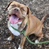 Thumbnail photo of Priscilla #2