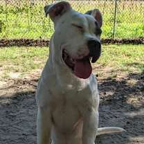 Thumbnail photo of River #4