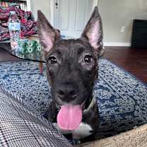 Thumbnail photo of Pachita #2