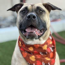 Thumbnail photo of Marshy #1