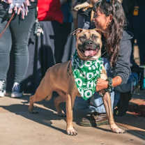 Thumbnail photo of Marshy #2