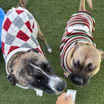 Thumbnail photo of Marshy #3