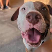 Thumbnail photo of Summer #3