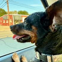 Thumbnail photo of Max #2