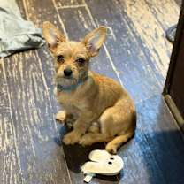 Thumbnail photo of Hayes #1