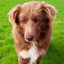 Thumbnail photo of MISS KITTY #2