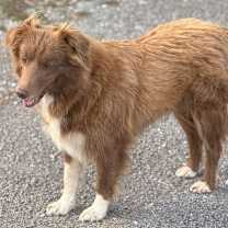 Thumbnail photo of MISS KITTY #3