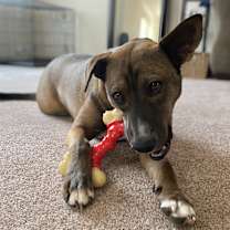 Thumbnail photo of Lexi #3