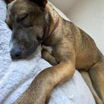 Thumbnail photo of Lexi #4