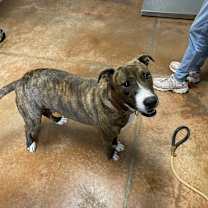 Thumbnail photo of Elsa #3