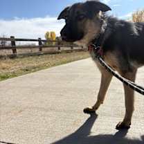 Thumbnail photo of Mr. Bones #4