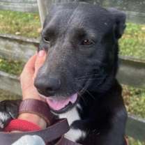 Thumbnail photo of Eclipse #4